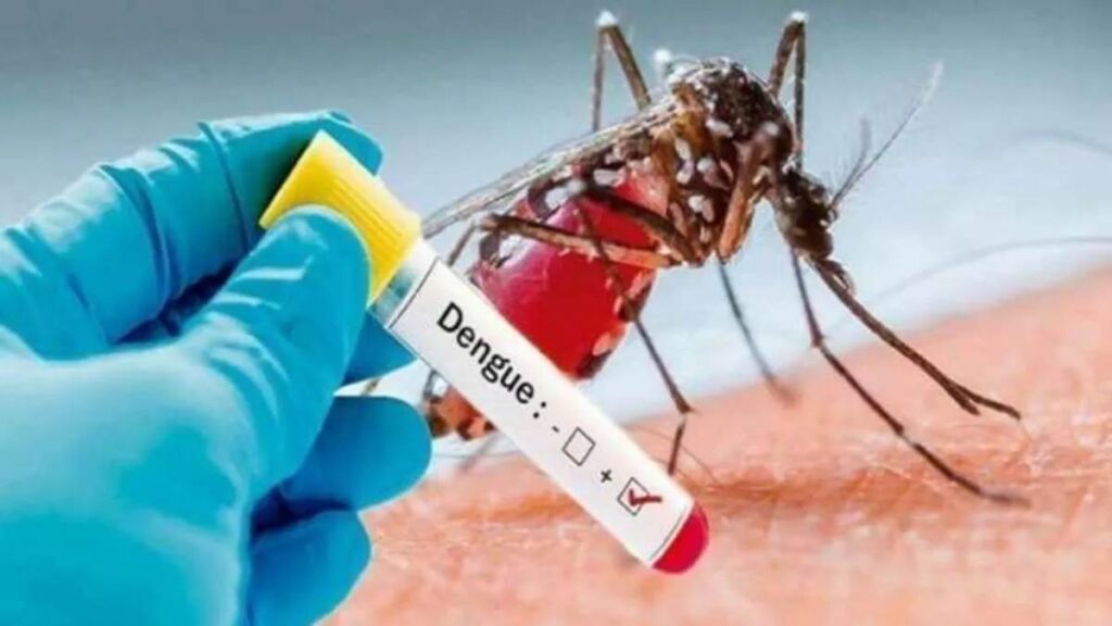 Dengue cases in Delhi: डेंगू से बिगड़ रही है लोगों की स्थिति, आंकड़े छिपा रहा है नगर निगम Dengue cases in Delhi: People's condition is worsening due to dengue, Municipal Corporation is hiding the figures.