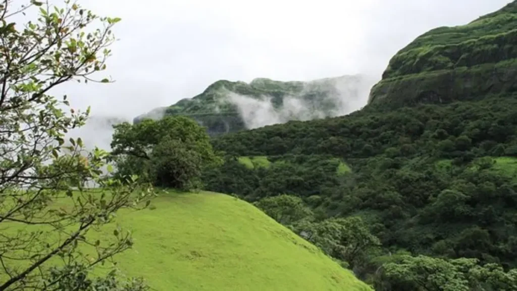 महाराष्ट्र: तम्हिनी घाट के सेल्फी प्वाइंट से गिरा 30 साल का इंजीनियर, 600 फीट नीचे मिला शव 30 year old engineer fell from the selfie point of Tamhini Ghat