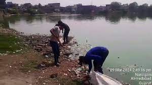 नारोल के तालाब में बड़ी संख्या में मृत मिलीं मछलियां Large number of dead fish found in Narol pond